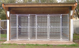 Długopis dla szczeniąt i psów