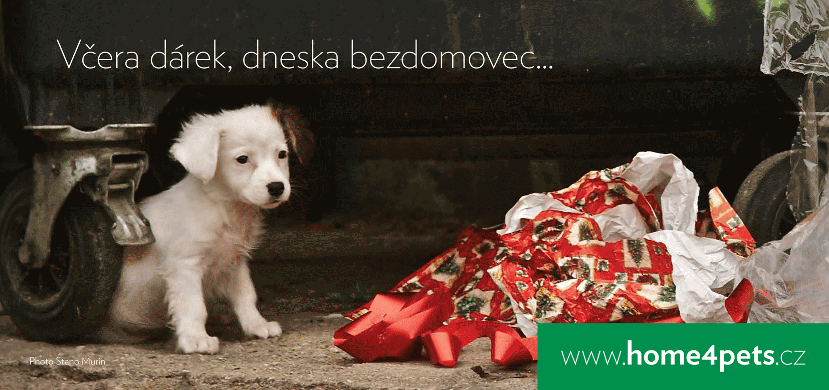 Następstwa bezdomnych