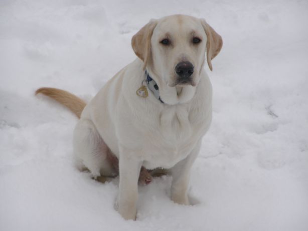 Porada dotycząca gry - Przejdź do # 8230;