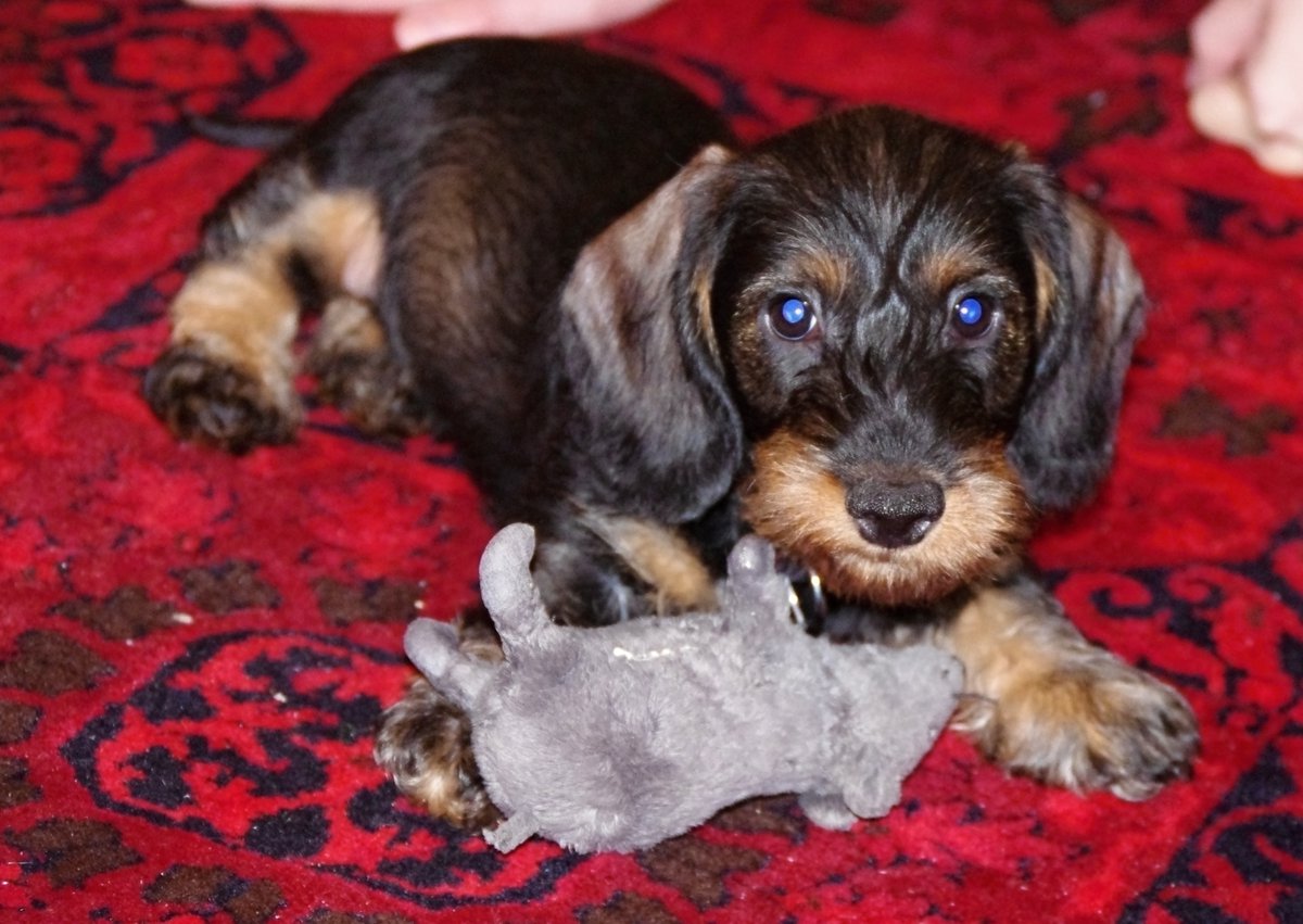 7 prostych kroków do udanego treningu