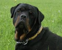 Słowo na pomyłkę?