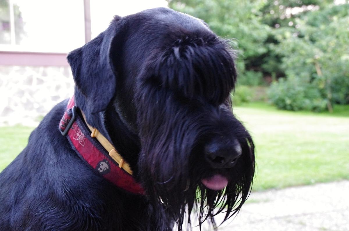 Prowadzenie samochodu nie musi cierpieć