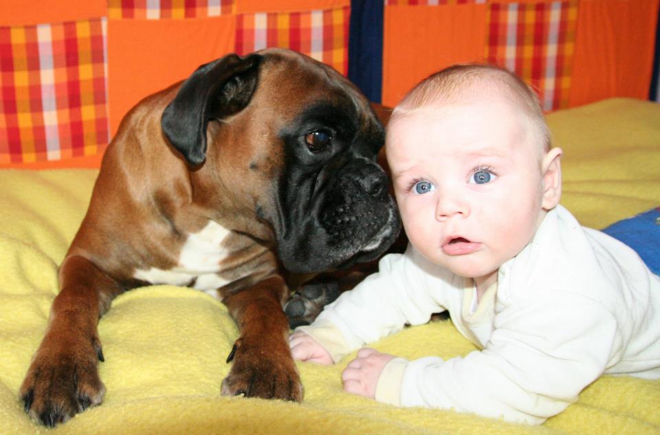 Jak pies wpływa na dziecko?