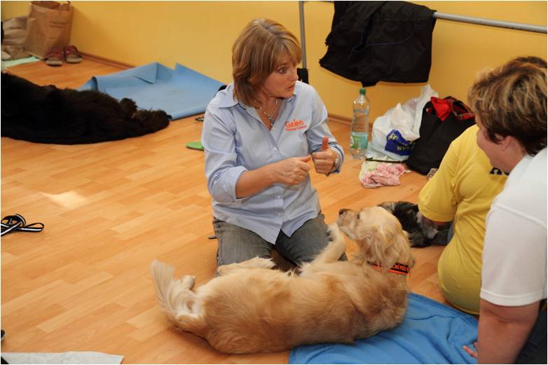 Nawet psy mają dni, w których mogliby skorzystać z masażu