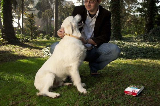 Pasożyty zewnętrzne mogą powodować problemy