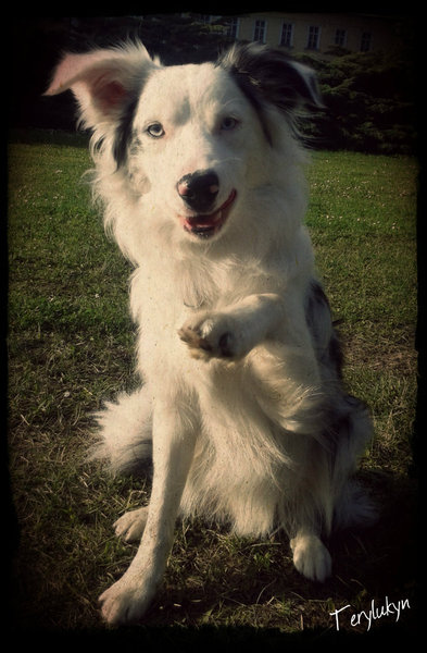 Świetny wakacyjny konkurs na 1000 nagród