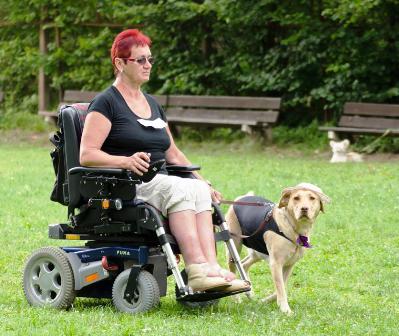 Bessi pomaga wieszać ubrania