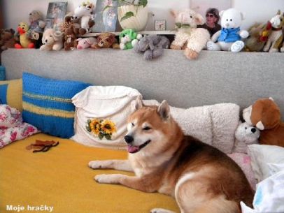 Gra: poznaj zabawkę!