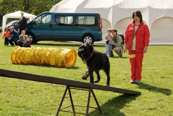 Zaproszenie na Światowy Dzień Zwierząt