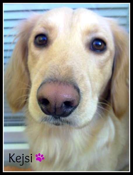 Zapalenie rogówki (zapalenie rogówki) i leczenie homeopatyczne