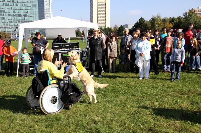 Światowy Dzień Zwierząt 2013 & # 8211; jak było?