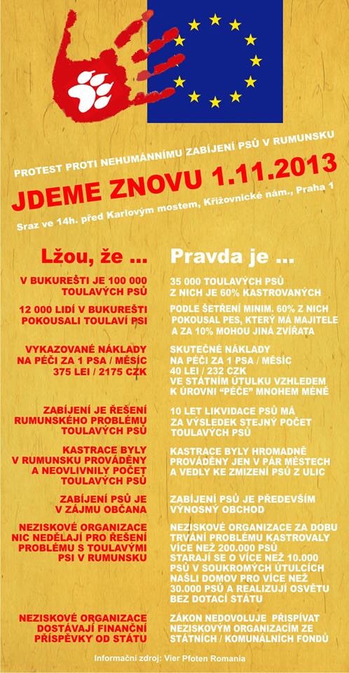 Kolejny protest przeciwko zabijaniu psów w Rumunii