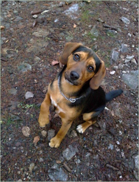 & # 8222; Save & # 8220; może być niebezpieczne