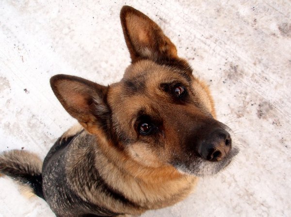 Świąteczna kolekcja charytatywna