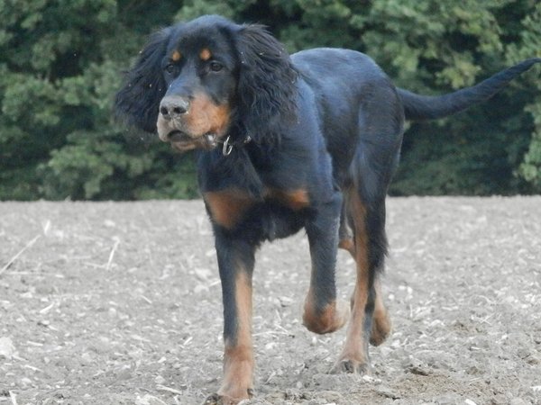 Strach przed wspaniałymi przedmiotami