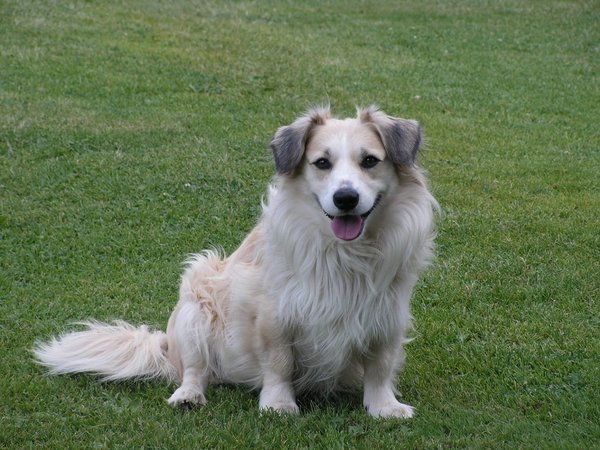 Kolekcja świąteczna - Dziękujemy za wsparcie