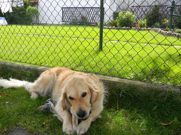 Duży ogród to za mało