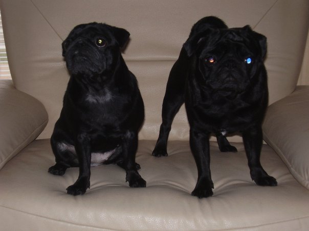 Wygląd ekstremalny jako utrudnienie?