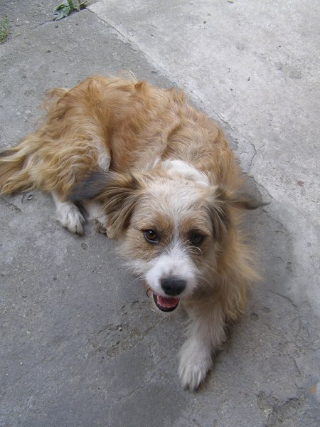 Zaproszenie - Kladno Vorisek 2014