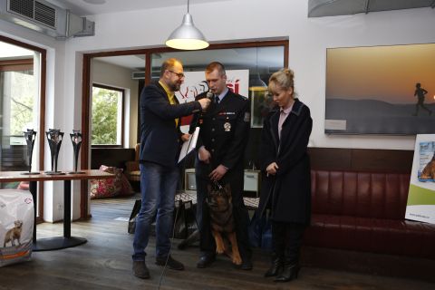 Czy można znaleźć bohaterów psów?