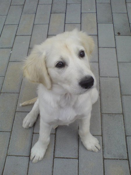 Nie będzie głaskana