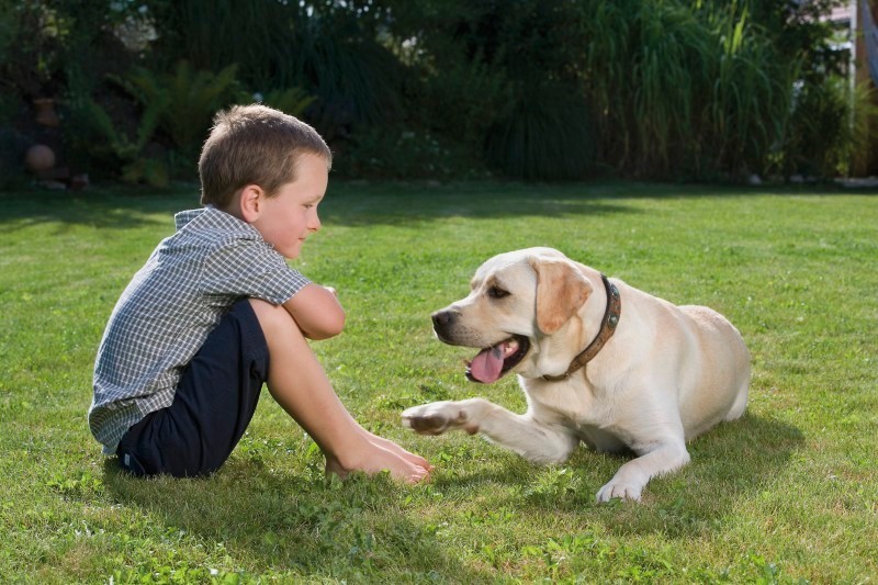 Kleszcze aktywność szczytów