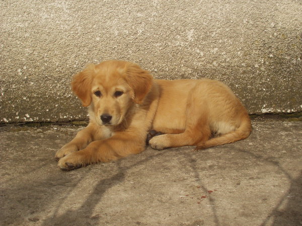 Zaproszenie na targi