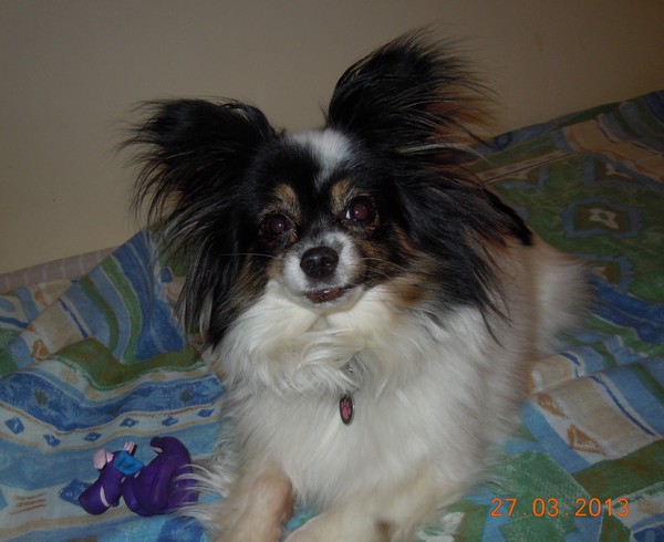 Wydobywanie skarbów