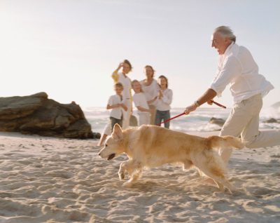 Podróżując dziesięć przykazań na wakacje z psem