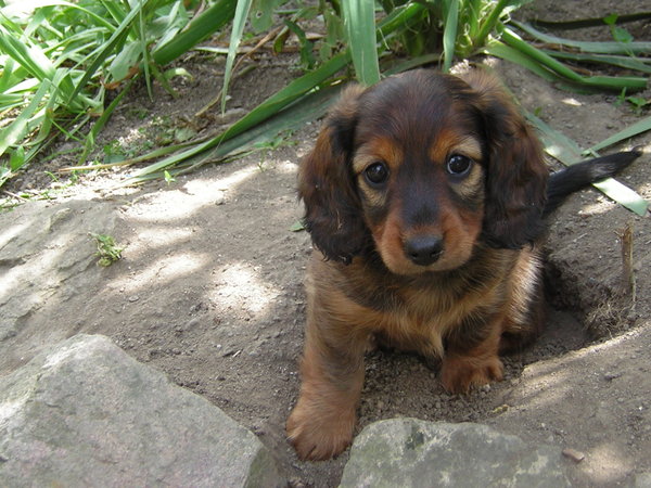 Kiedy wygląda tak smutno