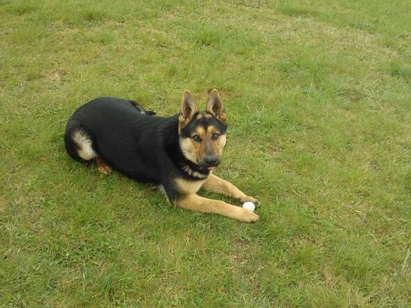 Jak często trenujesz?