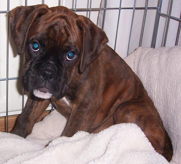 Kto bałby się burz i petard?