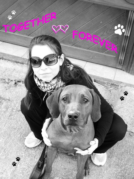 Dziesięć rzeczy, które powiedziałby ci pies