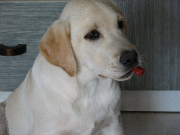 Jak złapać ucztę?