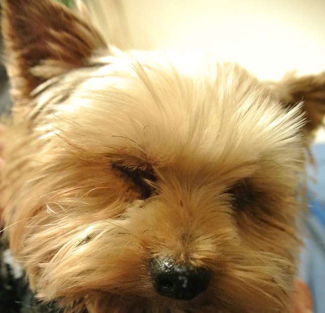 Przedszkole - piekło na ziemi