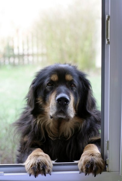 Zaburzenia zachowania