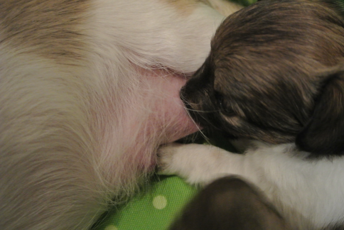 Skradziona wolność