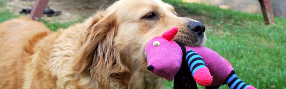 Skarpeta, słyszałeś o nim?