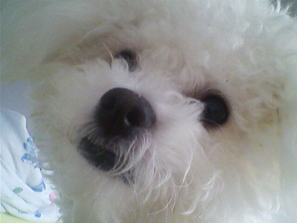 Historia z multiplikatora: nawet najsilniejsi przegrywają