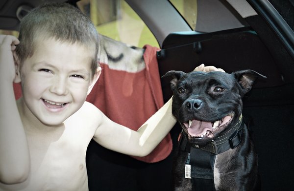 Dobrze znany komunikator ze zwierzętami z Południowej Afryki przyjedzie do Czech