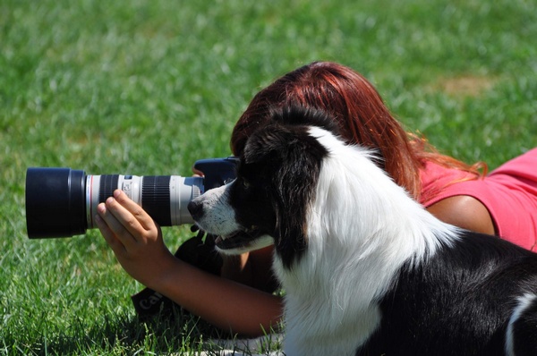 Jaki pies, taki dżentelmen?