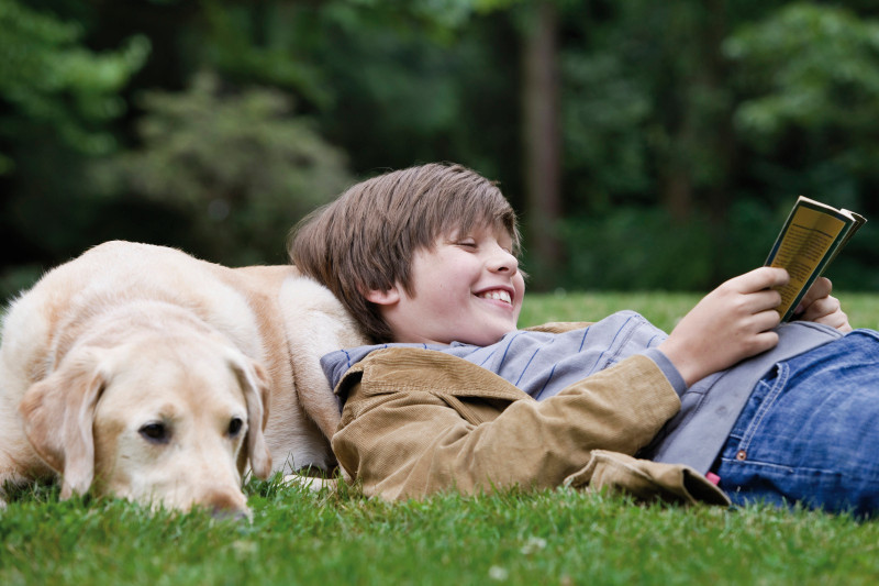 Siedem mitów na temat przeciwpasożytniczych kołnierzy