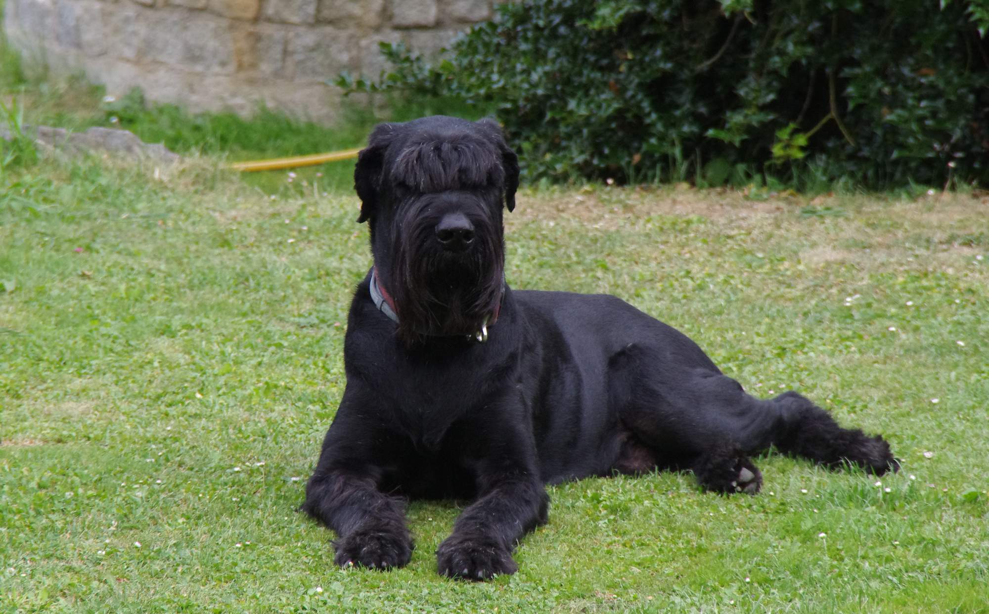 Leczenie łóżka przed snem