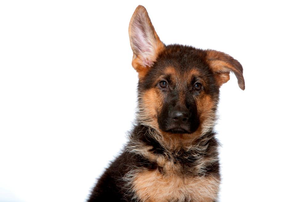 7 mitów o kastracji