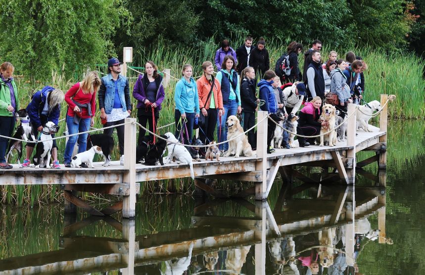 Monínec doświadczył rekordu psa