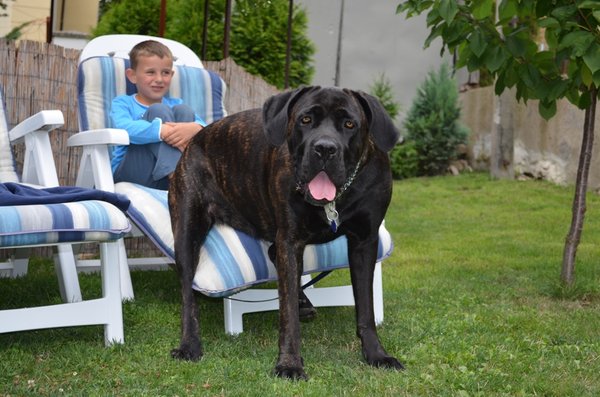 Jak zapobiegać otyłości?