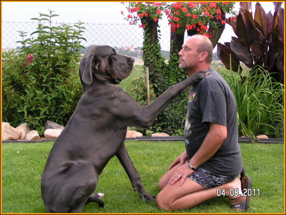 11 postaci, które mają obsesję na punkcie swojego psa