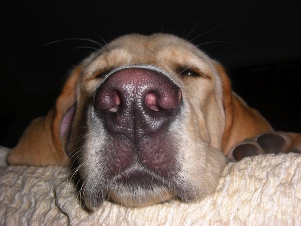 Odpady z kosza na śmieci