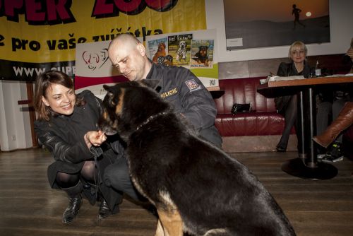 Dzielny pies Serca 2015