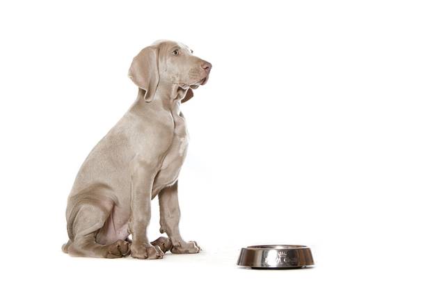 I znowu odżywianie ...